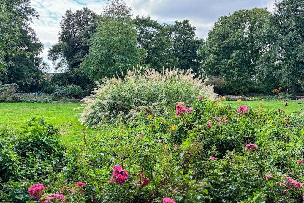 Neustadt Oase Am Park Bremen